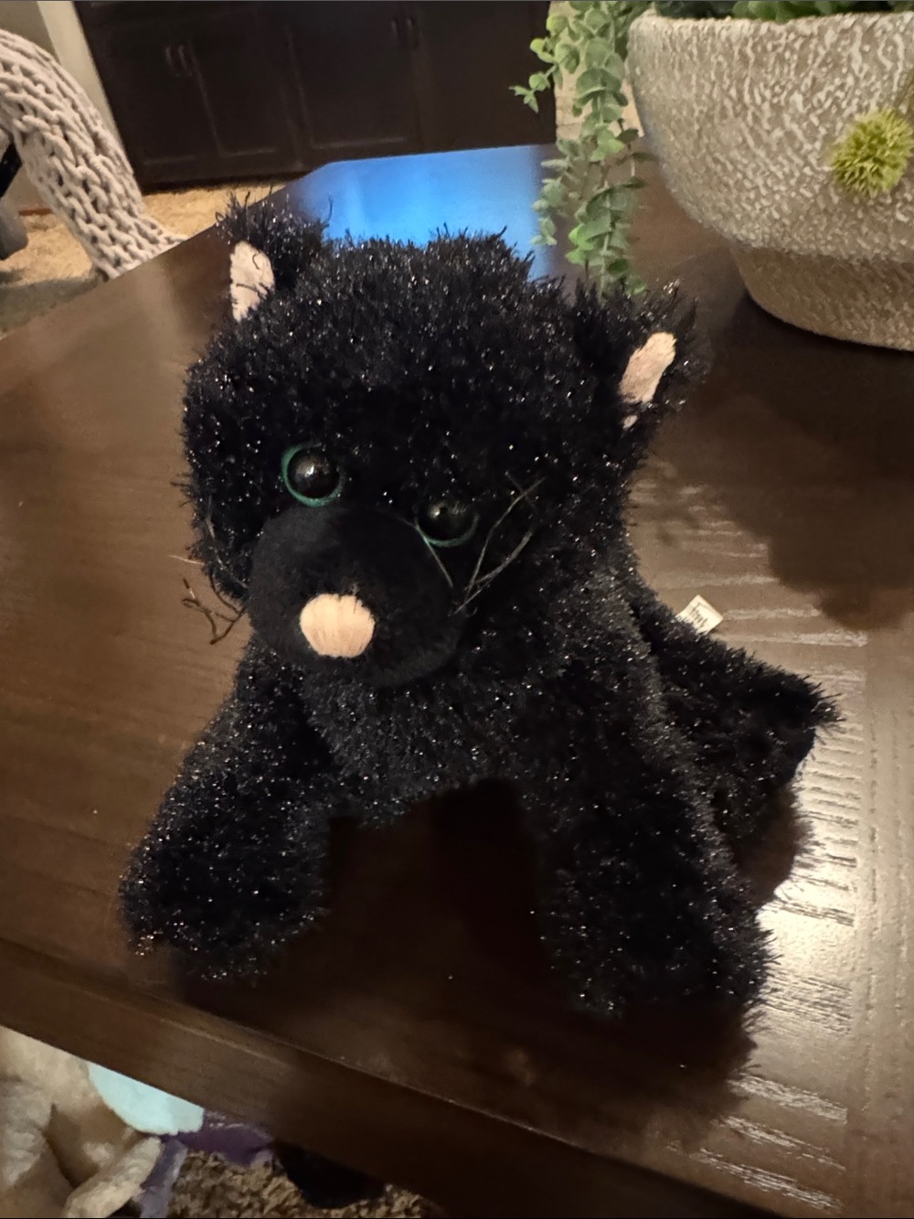 Webkinz black cat